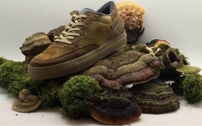 Giày thời trang bền vững: Xu hướng và Lợi ích