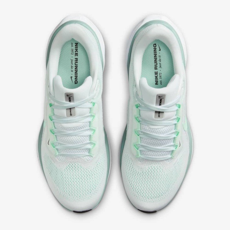 Giày Nike Pegasus 41 Nữ - Xanh Trắng