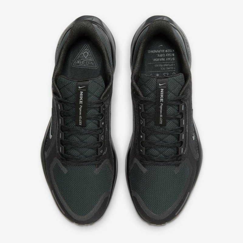 Giày Nike Pegasus 41 GORE-TEX Nam - Đen Đen