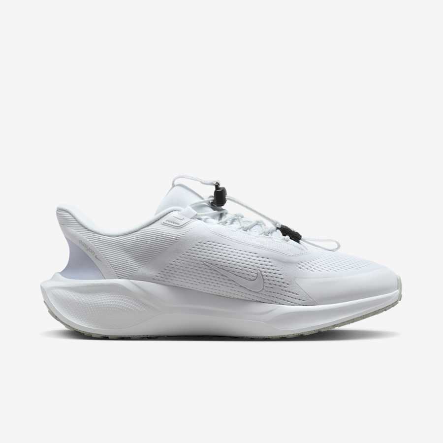 Giày Nike Pegasus 41 Easyon Nam - Trắng - hình 2