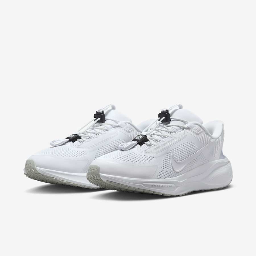 Giày Nike Pegasus 41 Easyon Nam - Trắng - hình 4