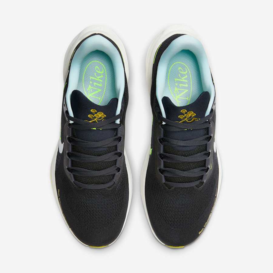 Giày Nike Pegasus 41 Special Nam - Đen Xanh - hình 5